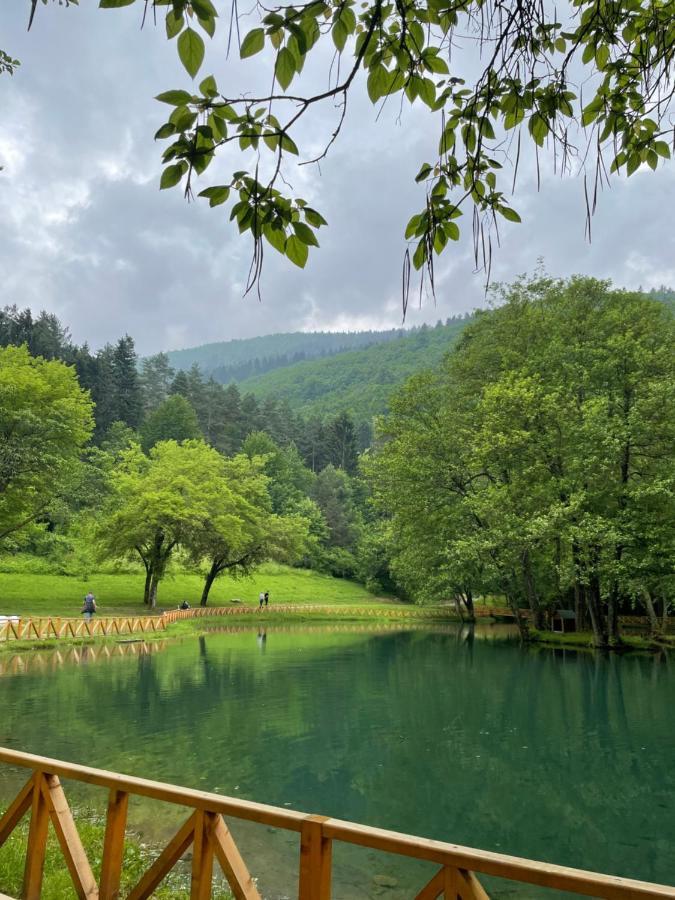 Apartman Magnolia Sarajevo Bagian luar foto